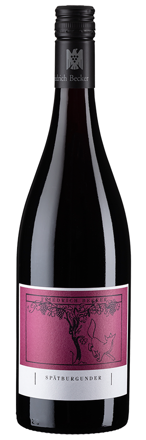 Spätburgunder trocken - 2019 - Friedrich Becker - Deutscher Rotwein